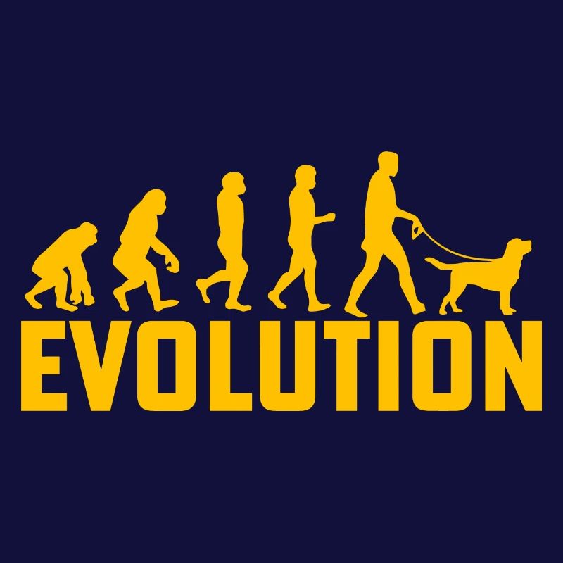 Évolution du Labrador