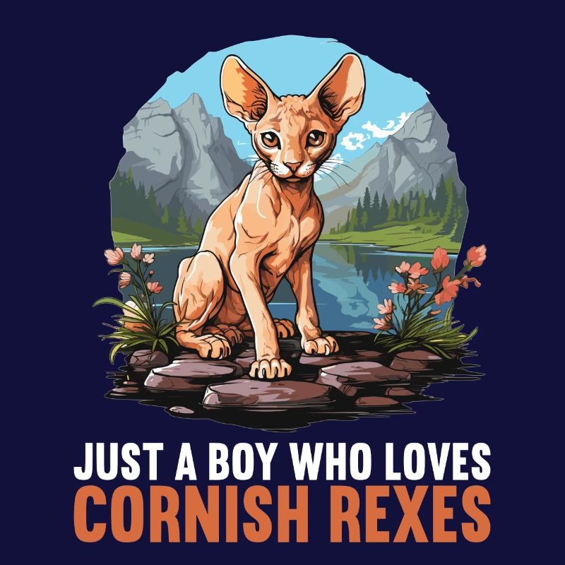 Cornish Rex Kitten Cornish Rex Cat