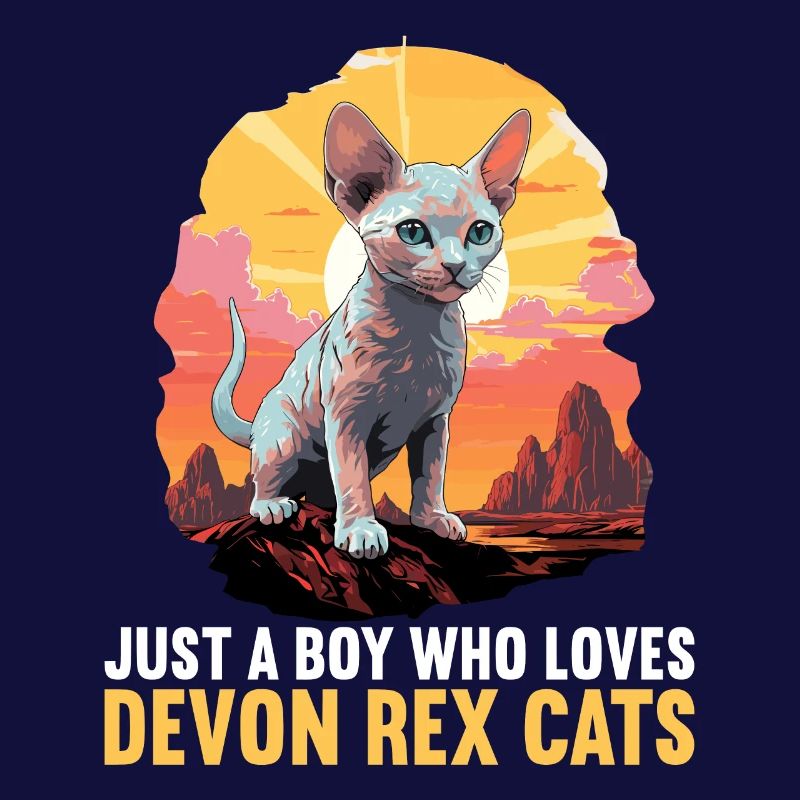 Chaton Devon Rex Chat Devon Rex