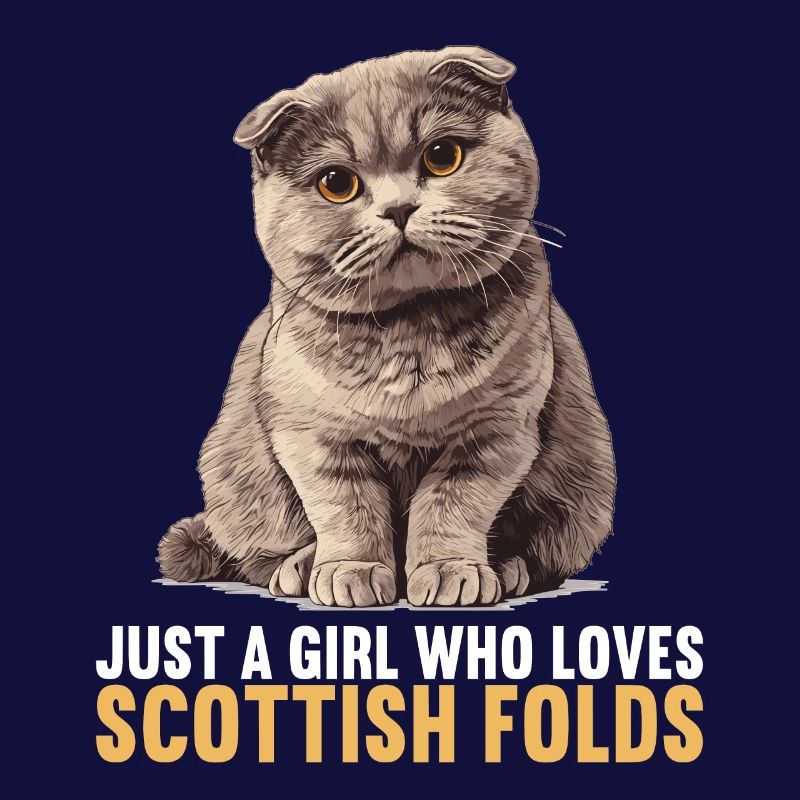 Scottish Fold Kätzchen Scottish Fold Katze