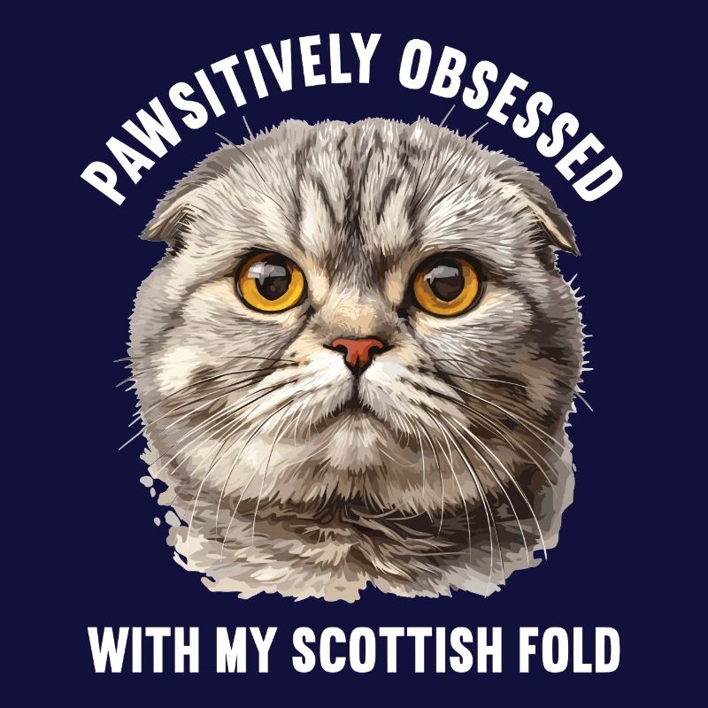 Scottish Fold Kitten Scottish Fold Cat