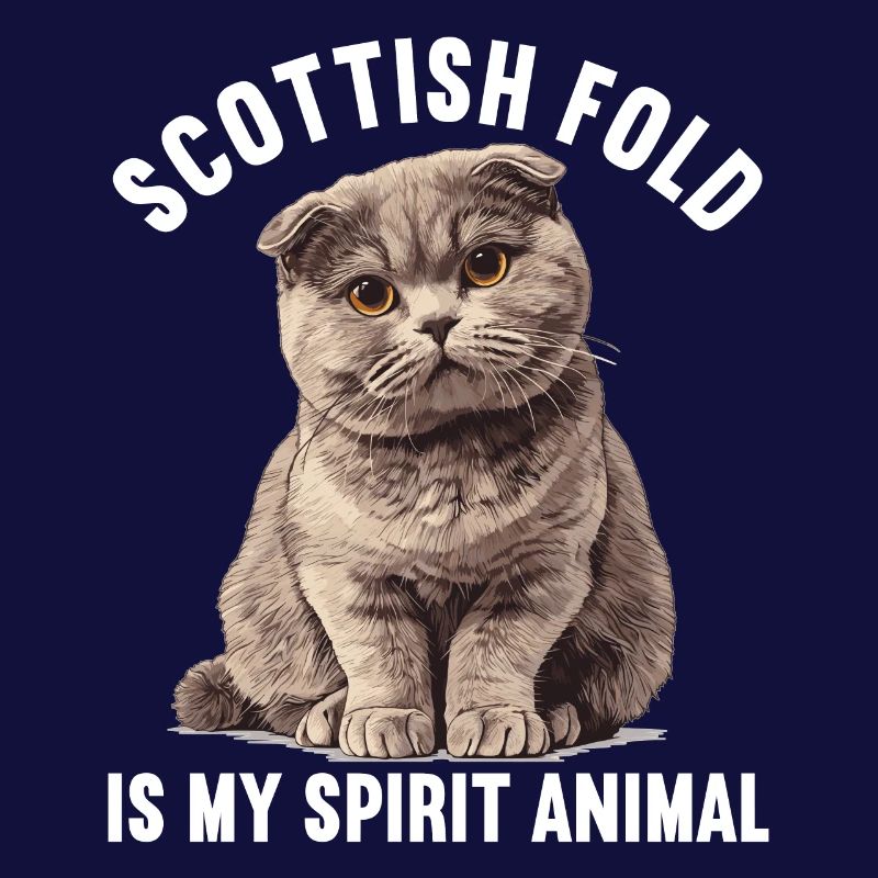 Scottish Fold Kitten Scottish Fold Cat