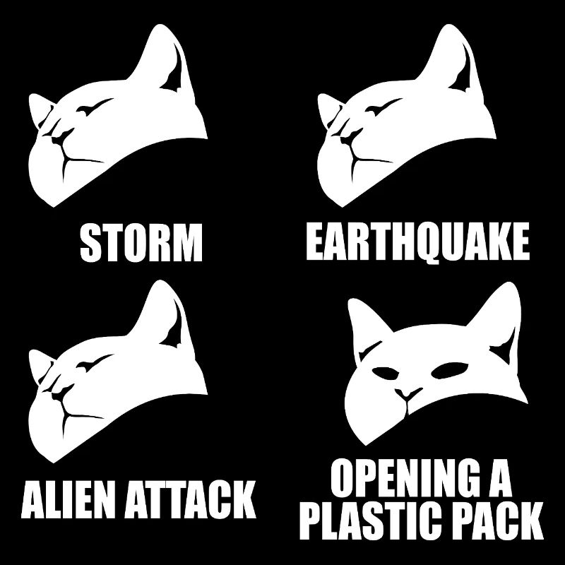 Cat - selective perception - saying