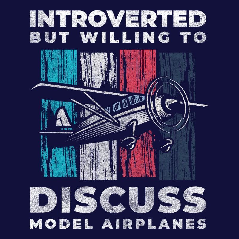 Model Airplane Model Flying Machine Flight
