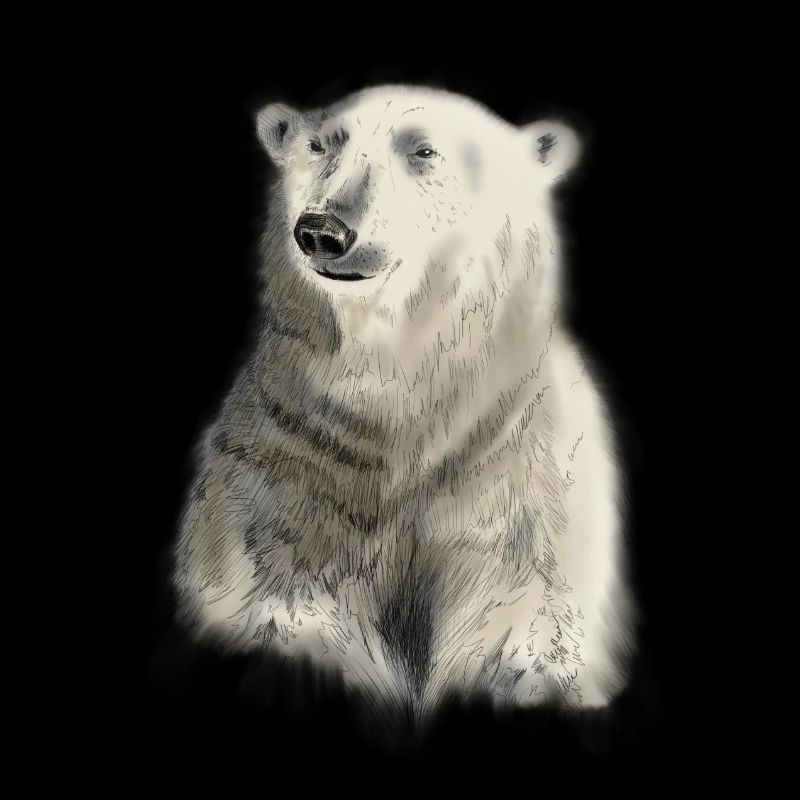 Polar Bear