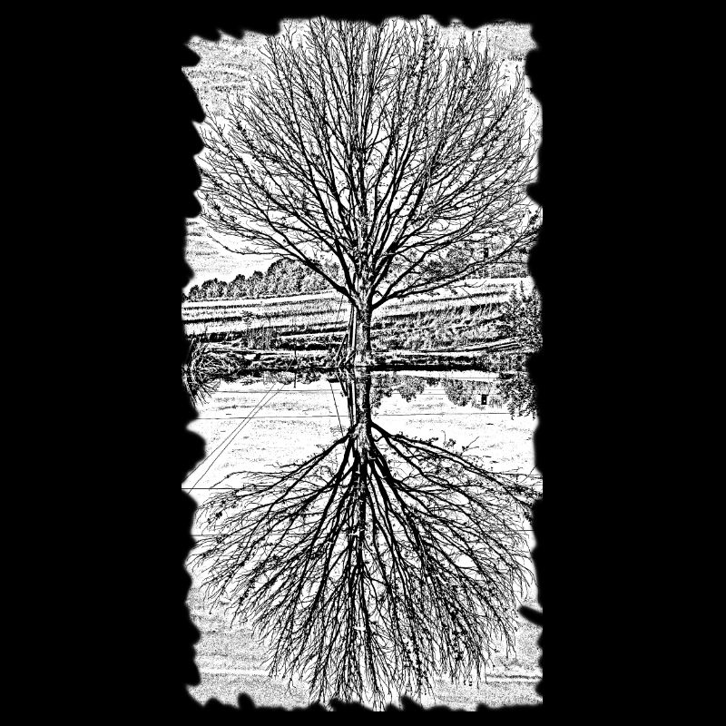 Baum