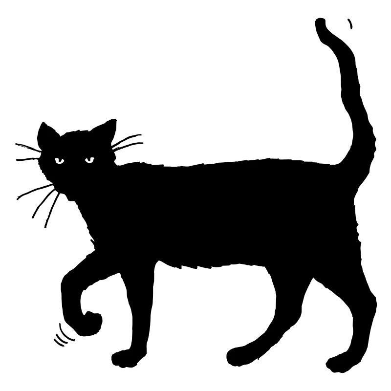 Chat noir