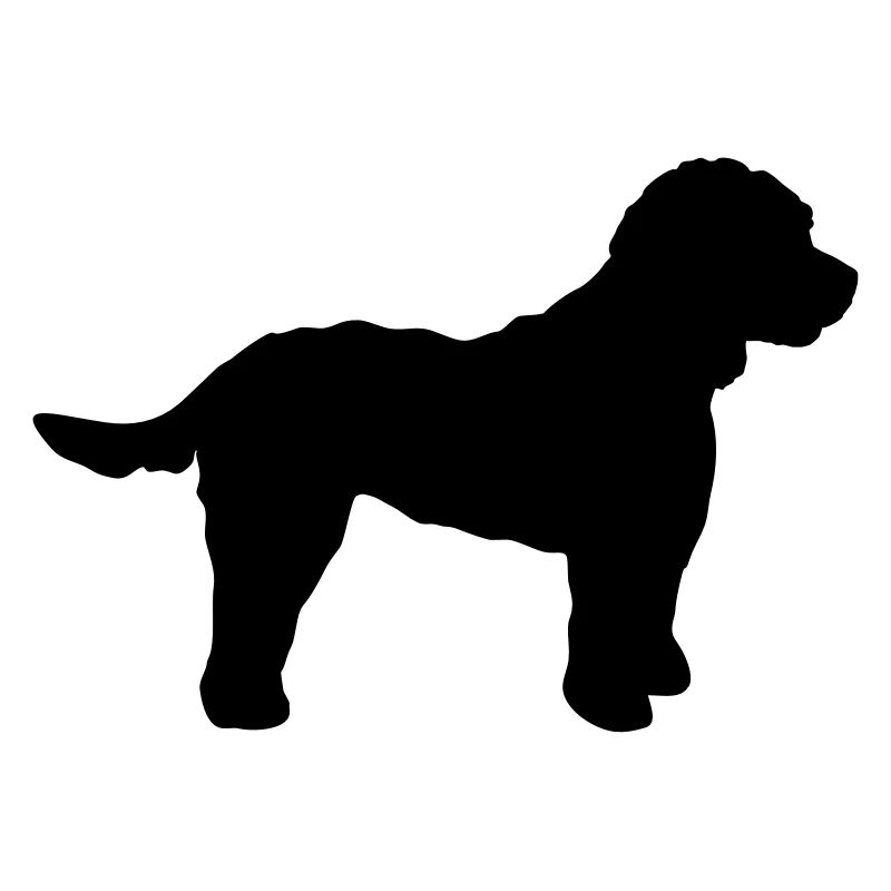 Cockapoo