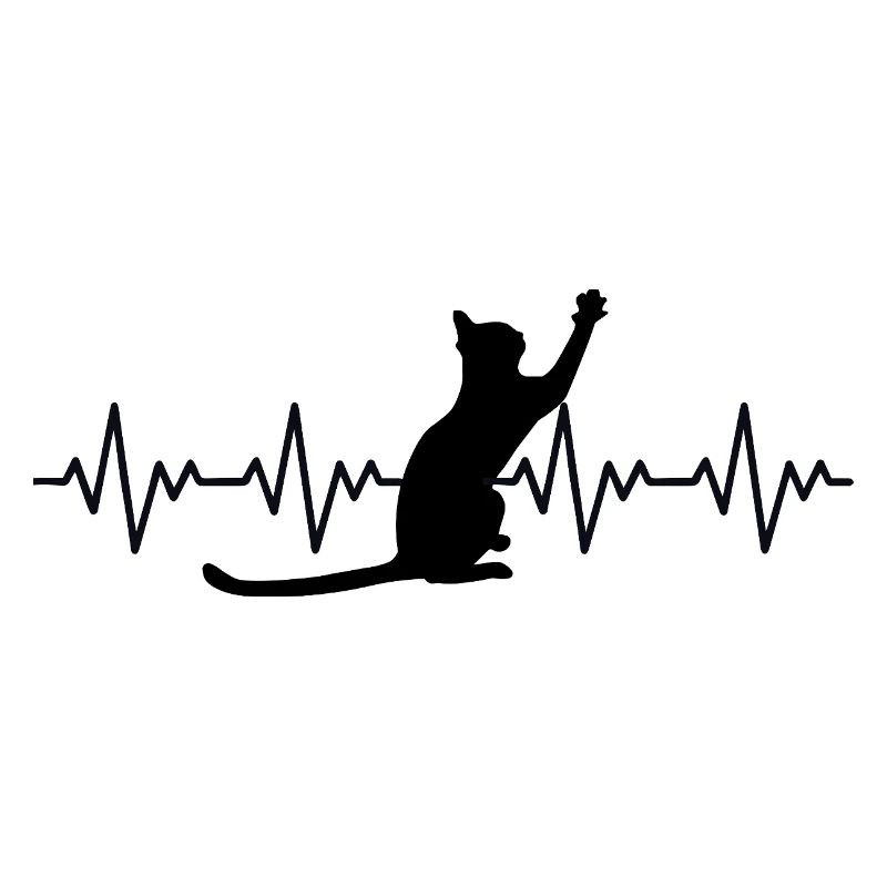 Katze EKG Herzfrequenz Herzschlag