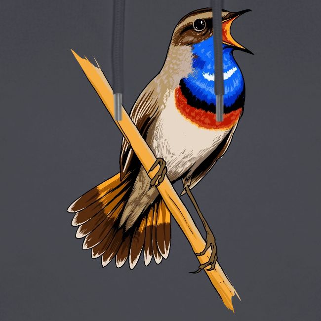 Birdingplaces Bluethroat