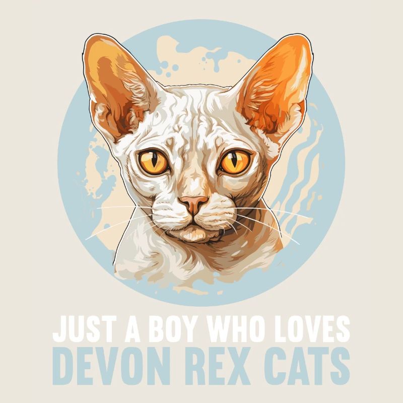 Chaton Devon Rex Chat Devon Rex