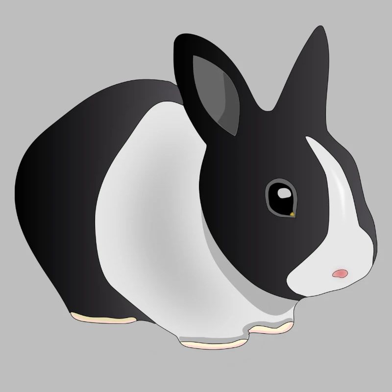Hase