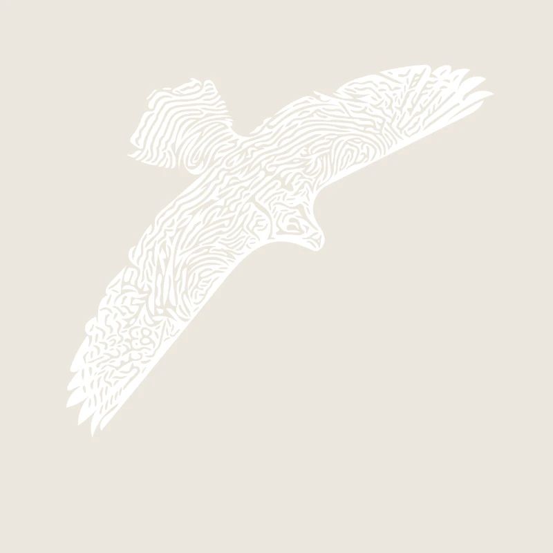 Falcon