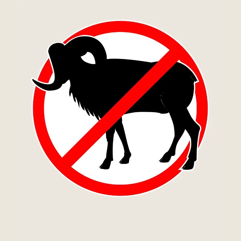 Chèvres ou mouflons interdits - chèvre