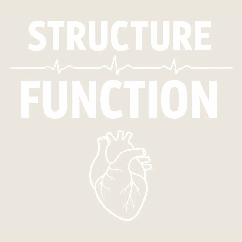 Herzultraschalltechniker Echo-techniker