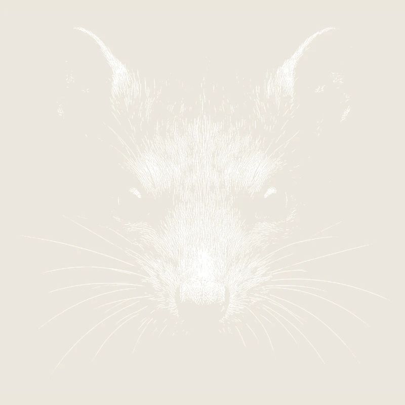 Rat