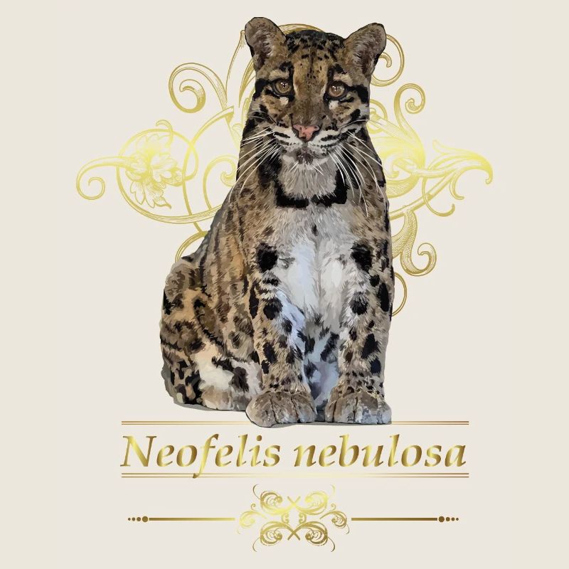 The Clouded Leopard