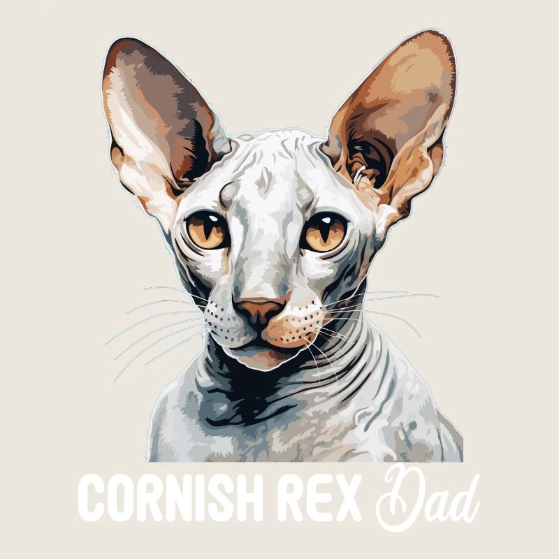 Cornish Rex Kätzchen Cornish Rex Katze