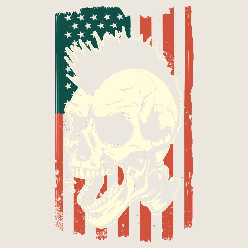 Punk skull on US flag