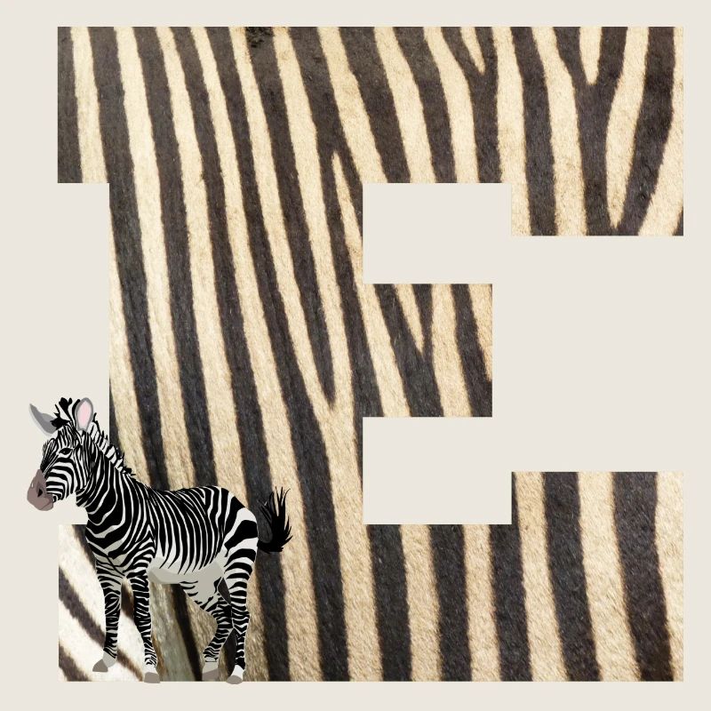 zèbre e