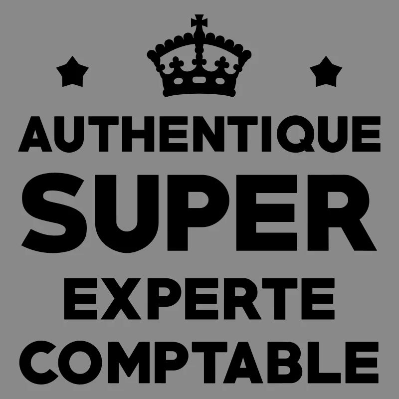 Expert Comptable / Comptabilité / Comptable /