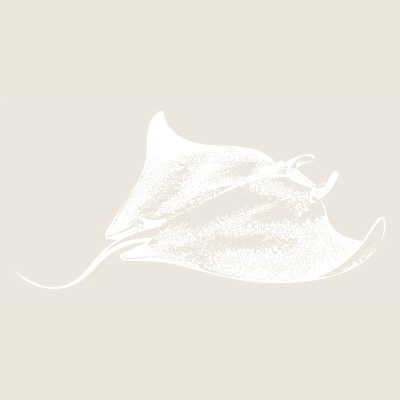 Manta Rochen Sealife
