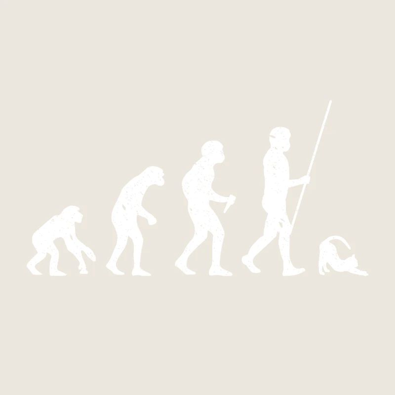 Évolution du chat