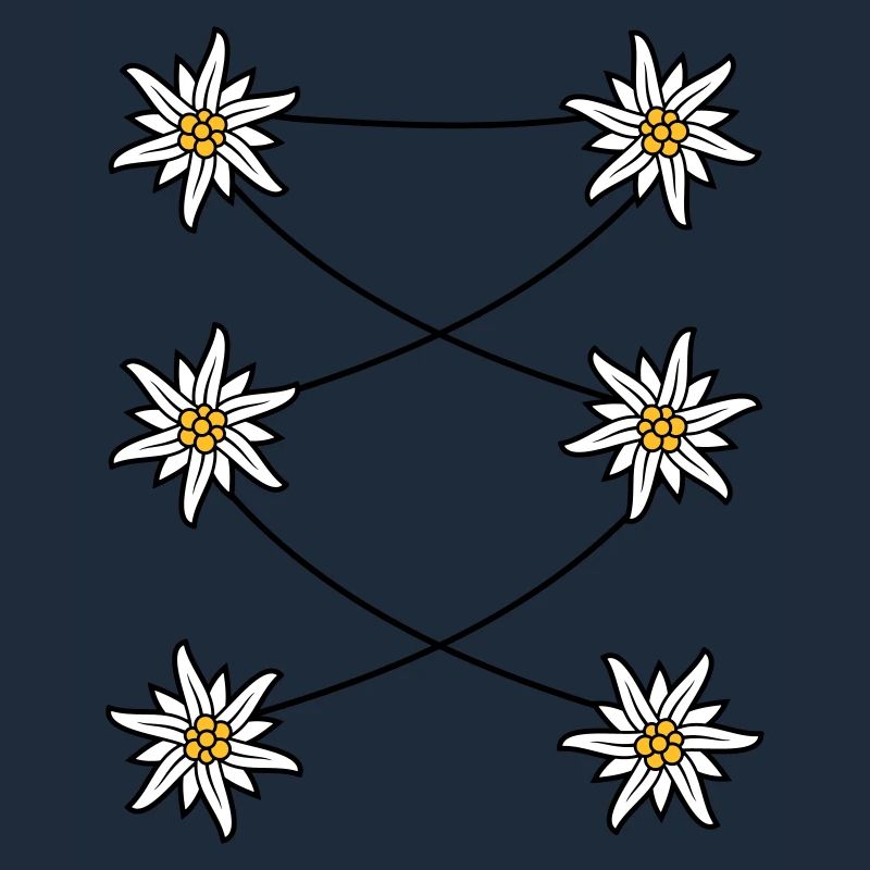 Dirndl apron Edelweiss