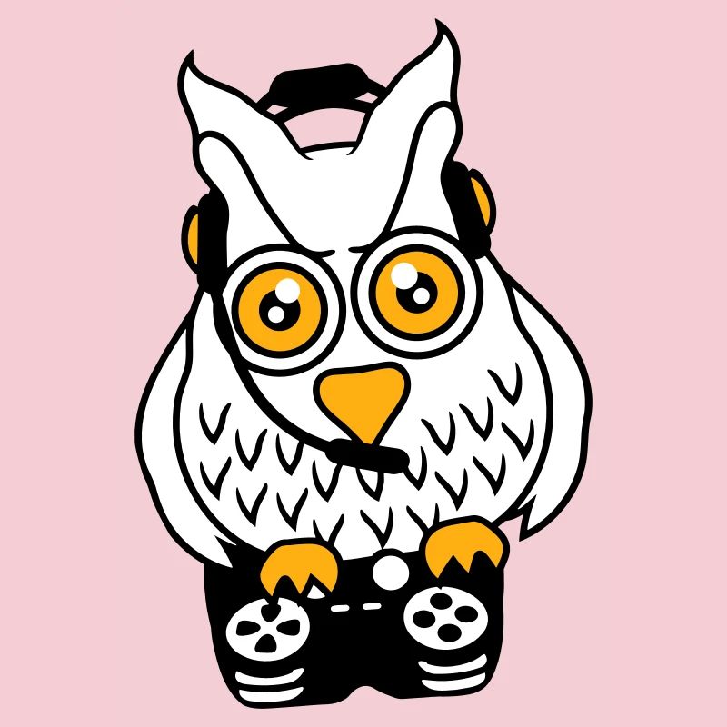 Gamer Owl Gaming Player Controller Headset Fun