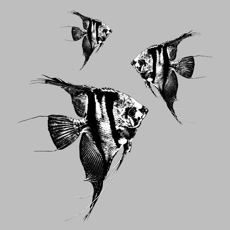 Scalar swarm / Scalars / Graph
