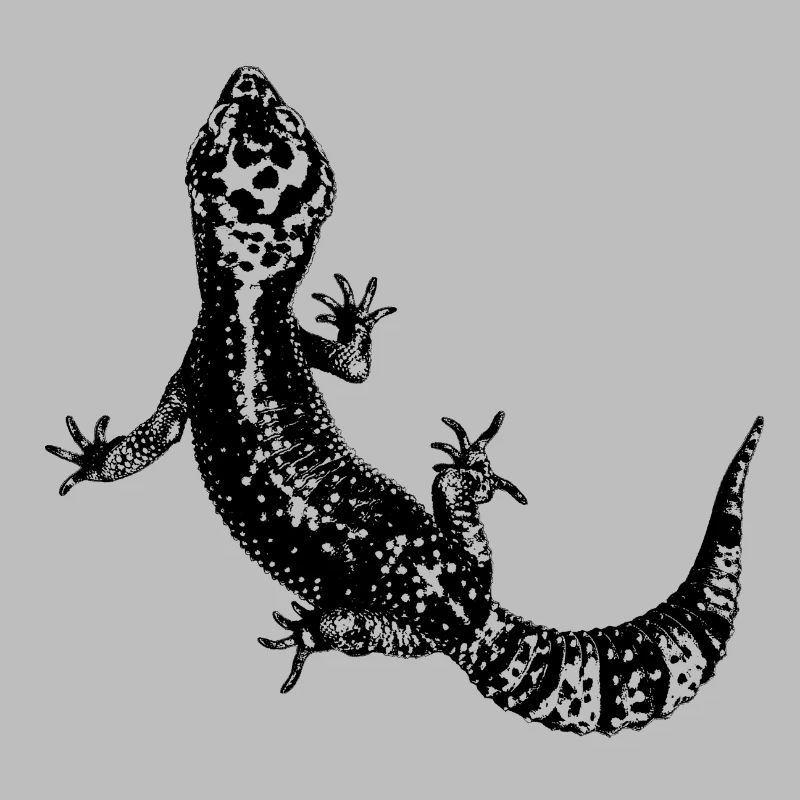Léopardgecko / Gecko