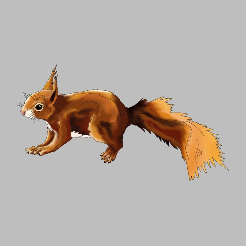 Eichhörnchen 3
