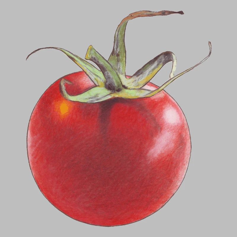 Tomate