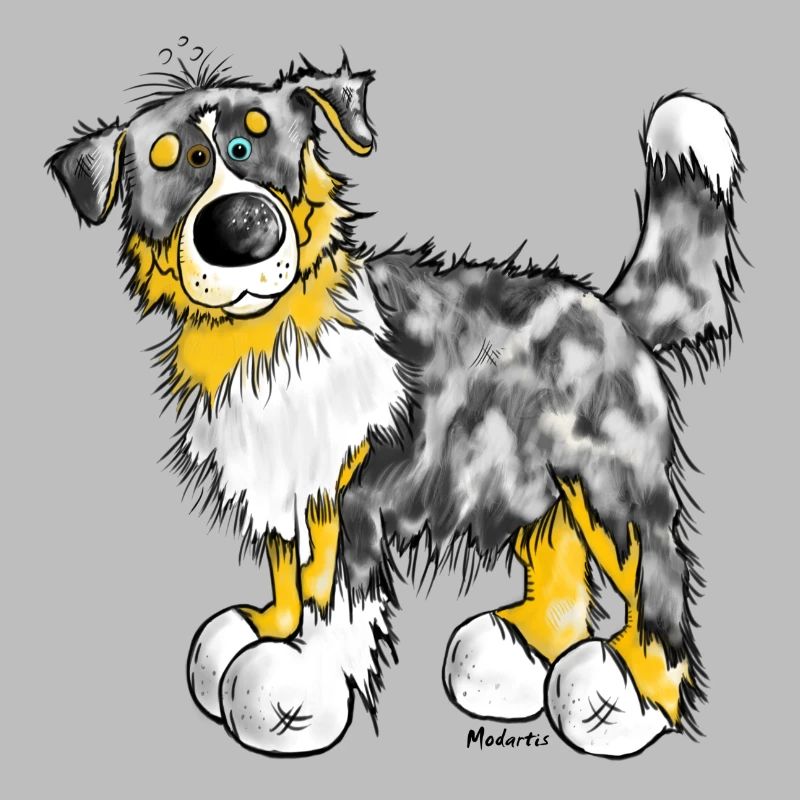 Aussie - Australian Shepherd - Hund - Dog