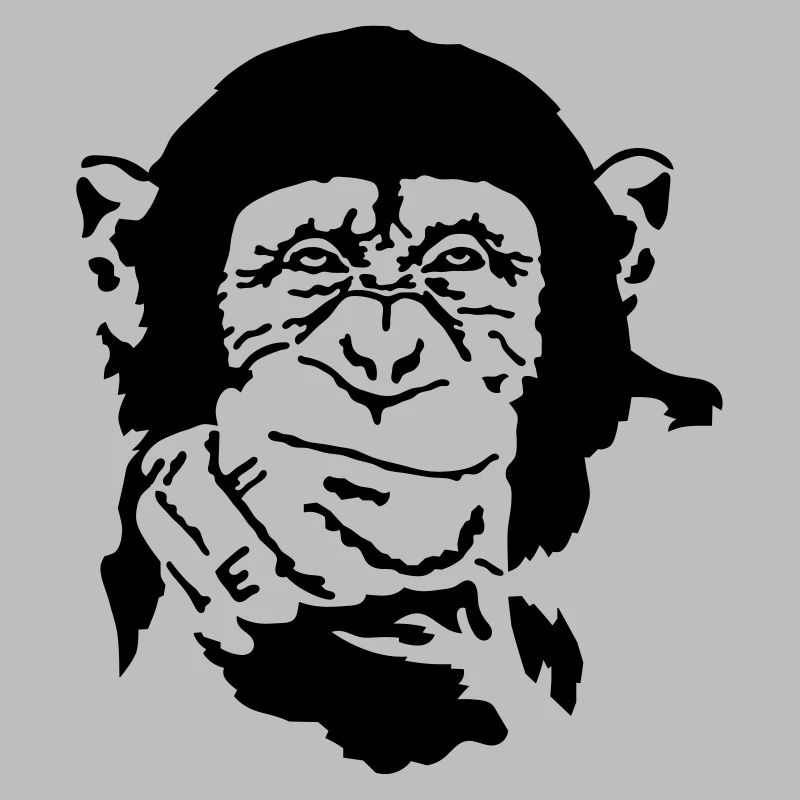 monkey