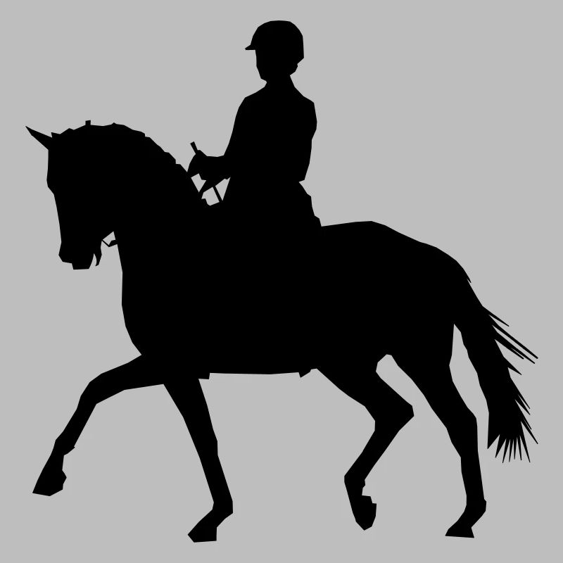 Reiterin mit Pferd