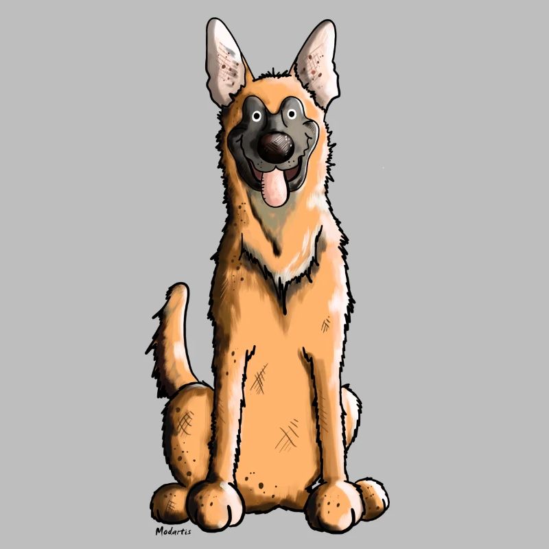 Fröhlicher Malinois