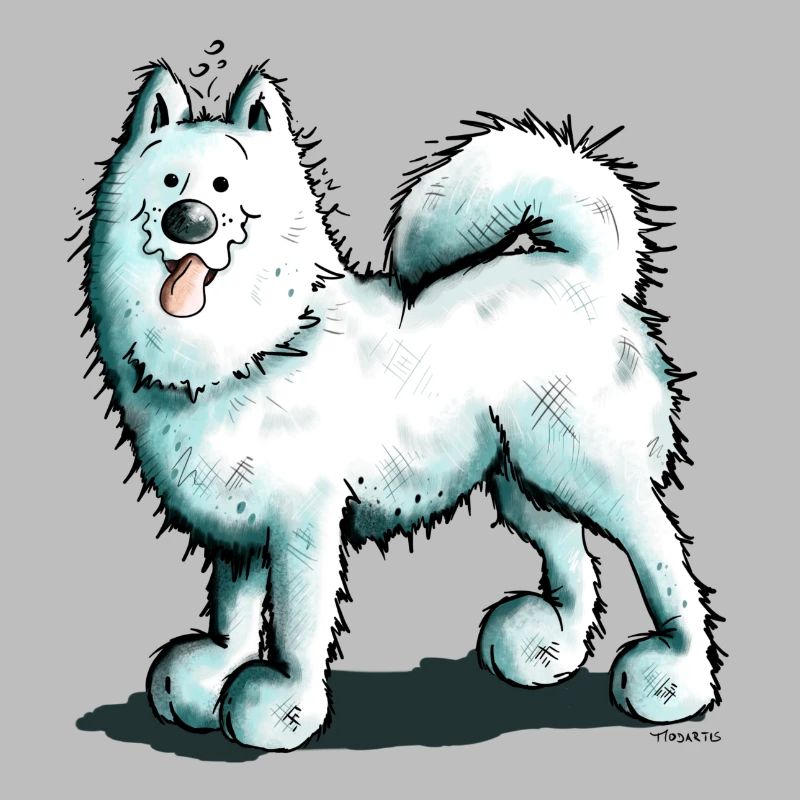 Sammy Samoyed - Samoyède