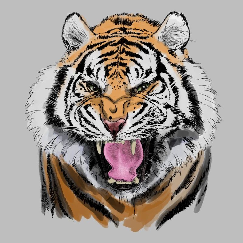 tiger