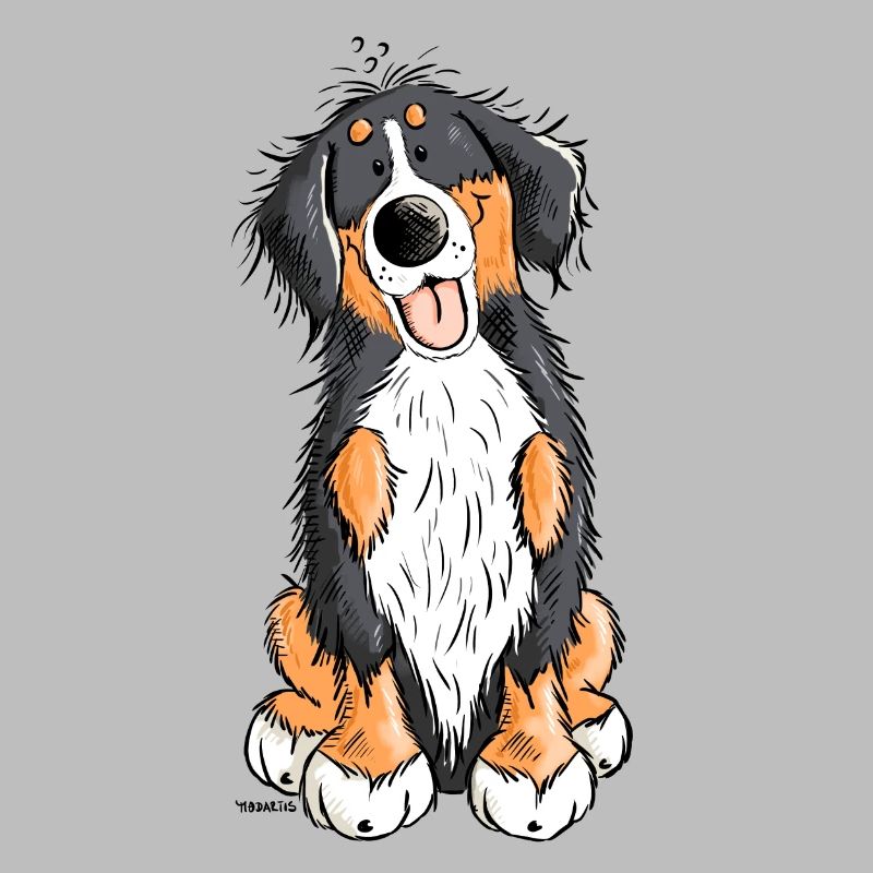 Berner Sennenhund mach Platz