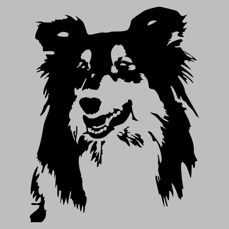Collie Kopf