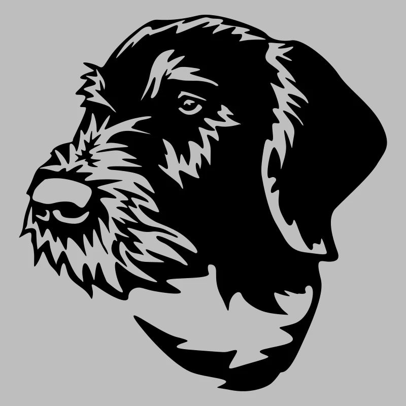 German Wirehaired Pointer