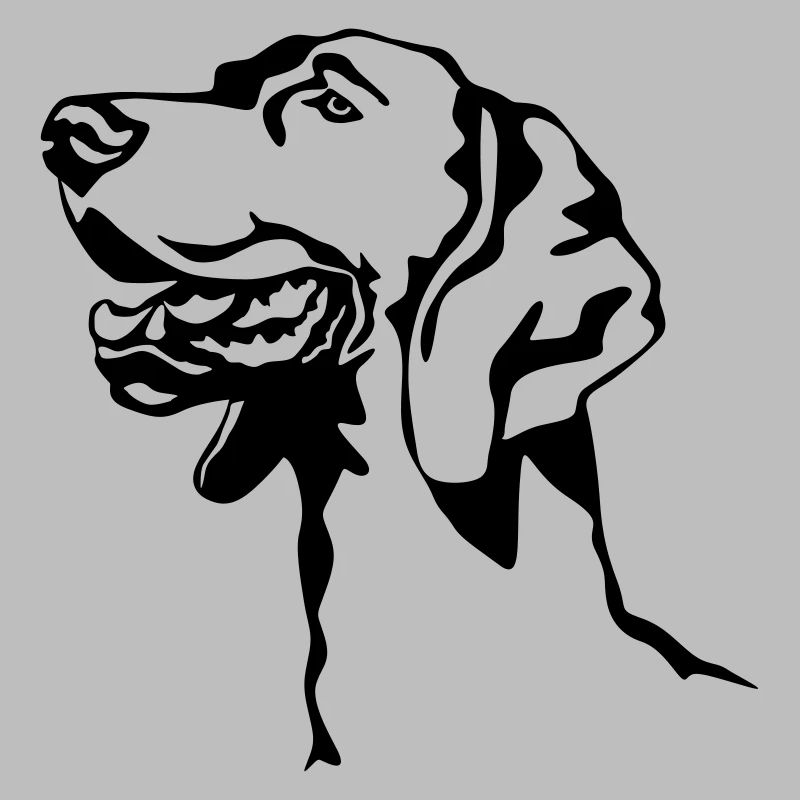Tête de braque de Weimar