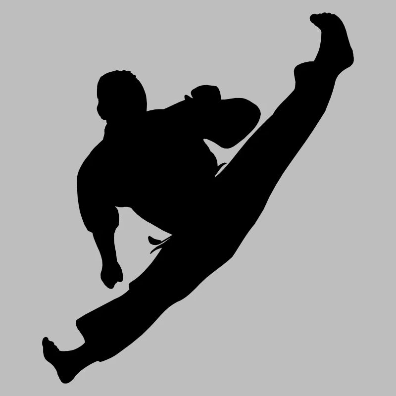 Jumpkick geri kick karate or teakwondo