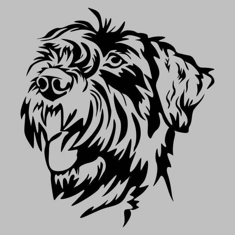 Tête de schnauzer géant