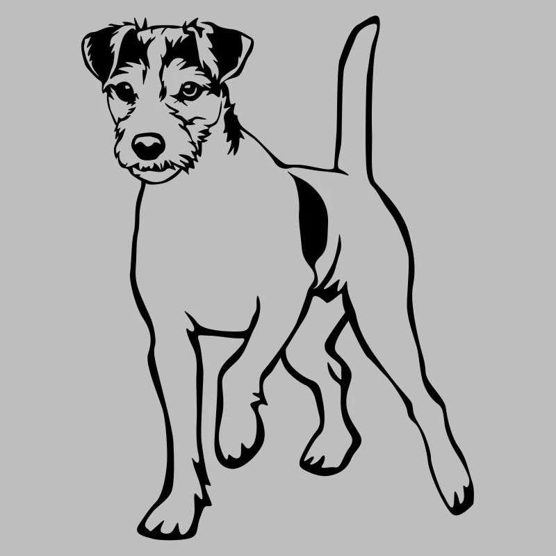 Parson Russell Terrier
