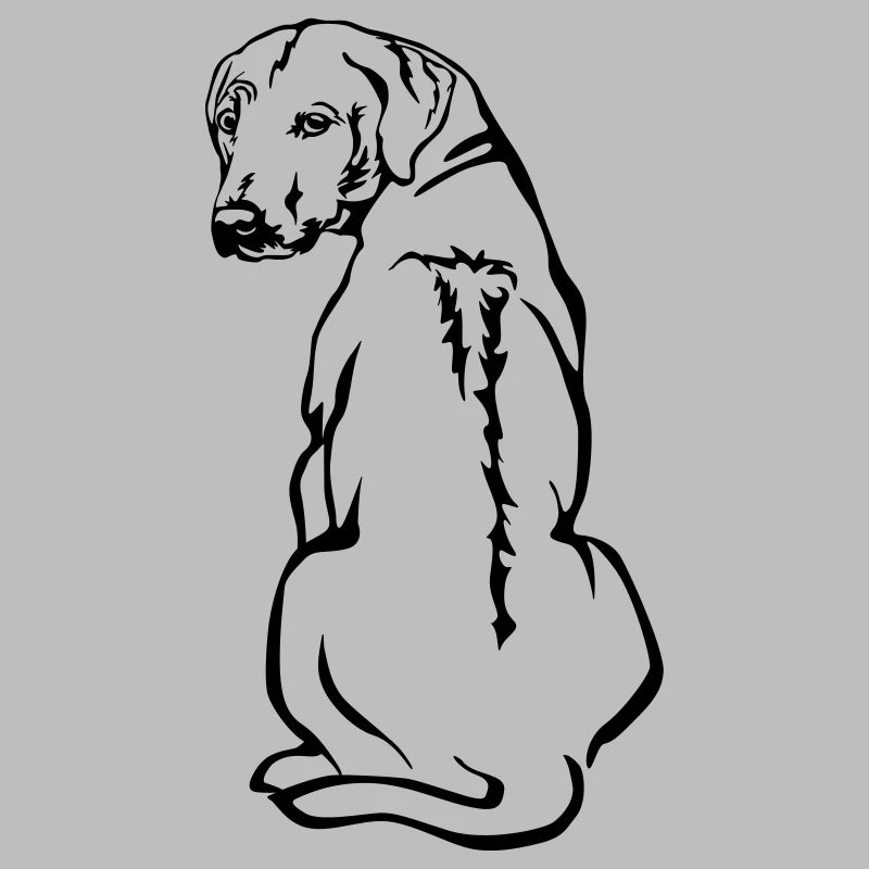 Rhodesian Ridgeback