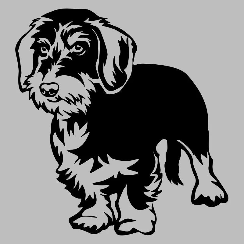 Dachshund