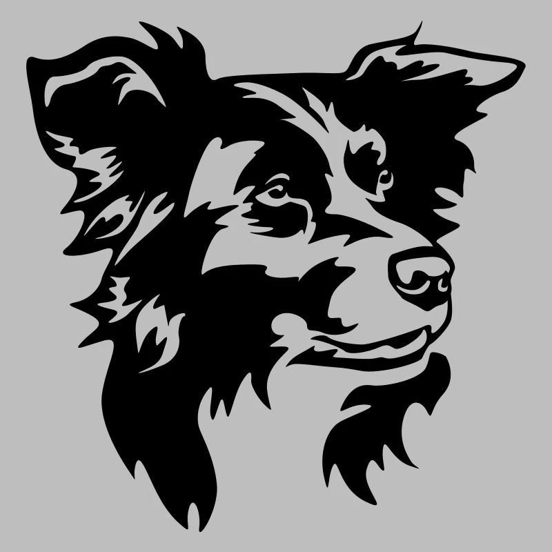 Border Collie Kopf