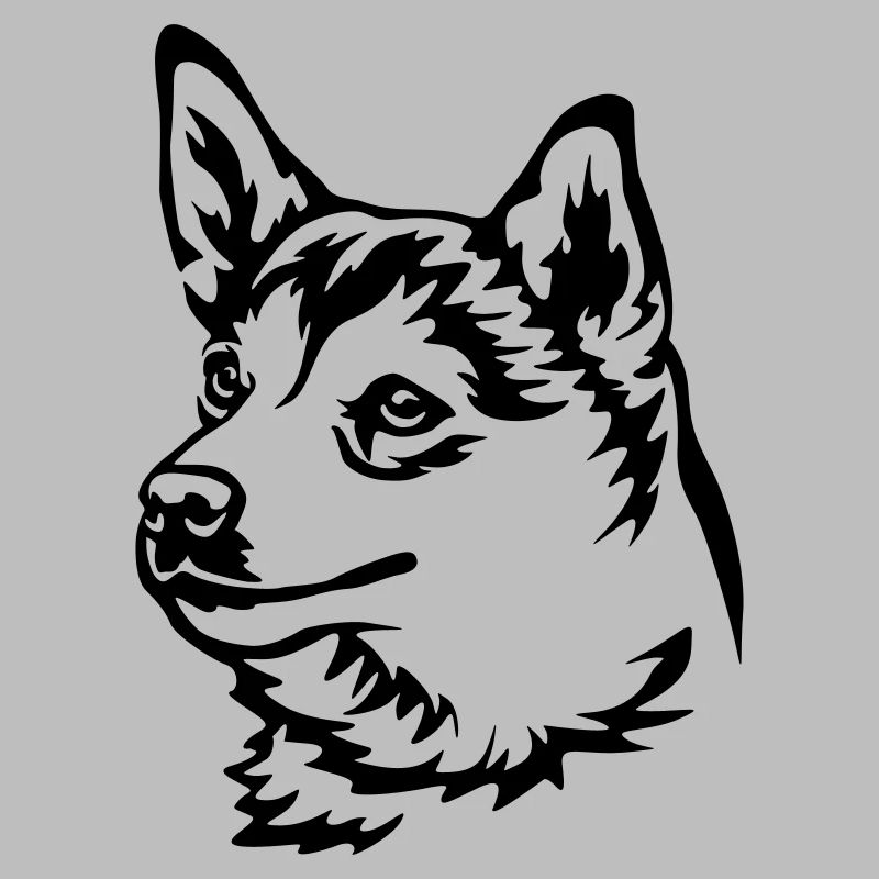 Norwegian Lundehund Head